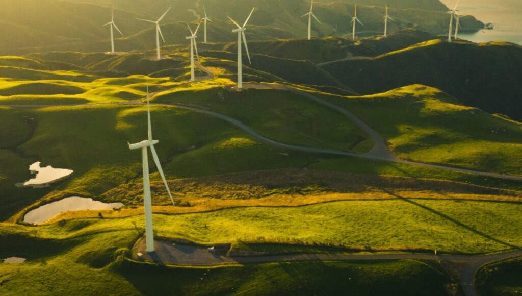 Angela Hepworth Named New Chief Executive of Scottish Renewables