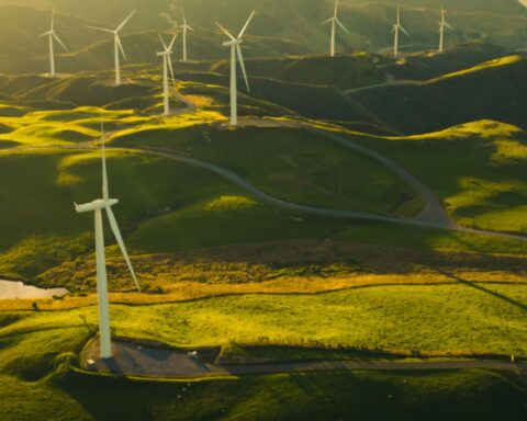 Angela Hepworth Named New Chief Executive of Scottish Renewables