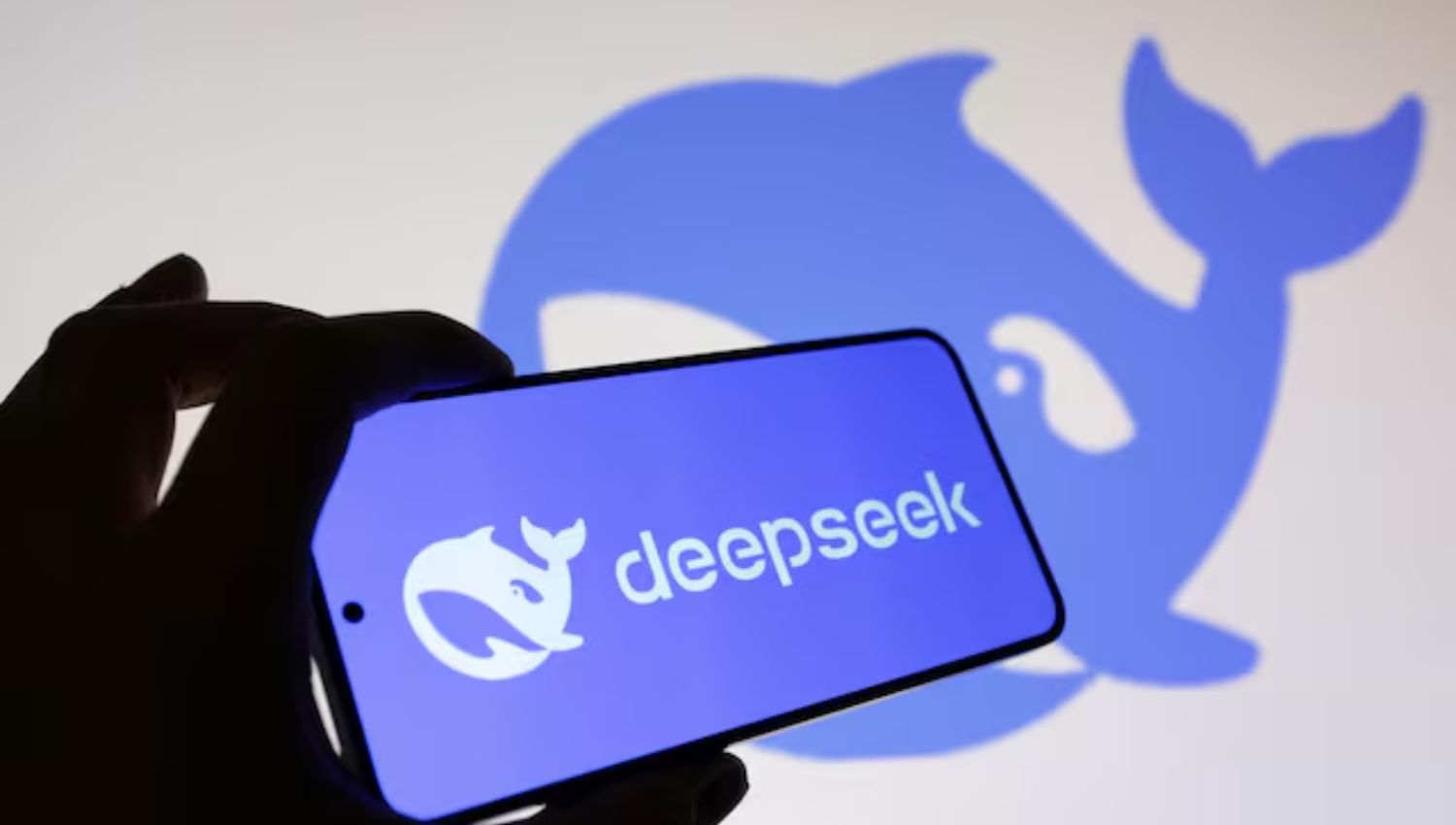 DeepSeek Tells Prospective Investors of Funding Pause, Bloomberg Reports