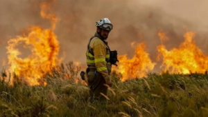 AI spots the fire in minutes, but someone still has to drag the hose