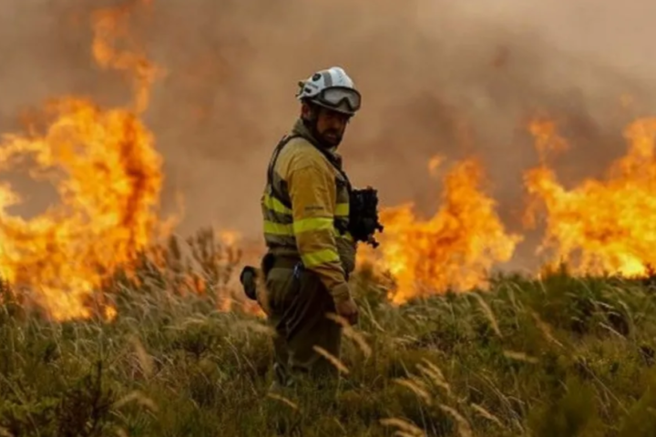 AI spots the fire in minutes, but someone still has to drag the hose