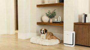 levoit vital pet pro air purifier pet odors