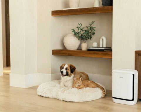 levoit vital pet pro air purifier pet odors
