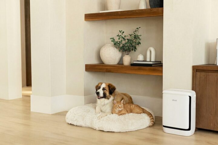 levoit vital pet pro air purifier pet odors