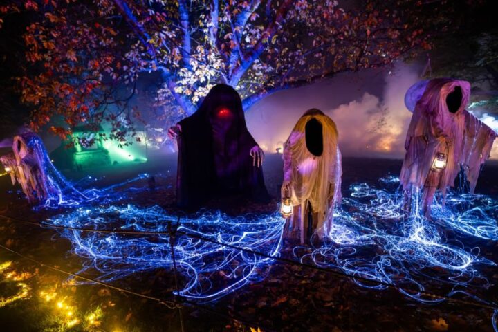Immersive Experiences Such as Light Trails Generate £233m for Scotland, Study Finds