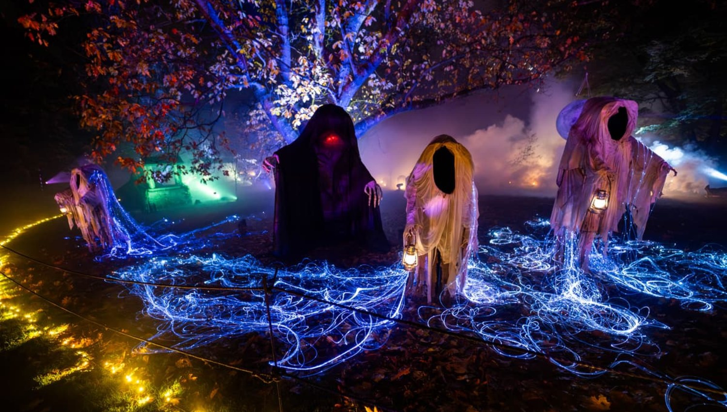 Immersive Experiences Such as Light Trails Generate £233m for Scotland, Study Finds